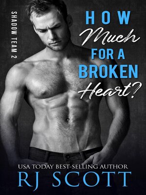 cover image of How Much for a Broken Heart